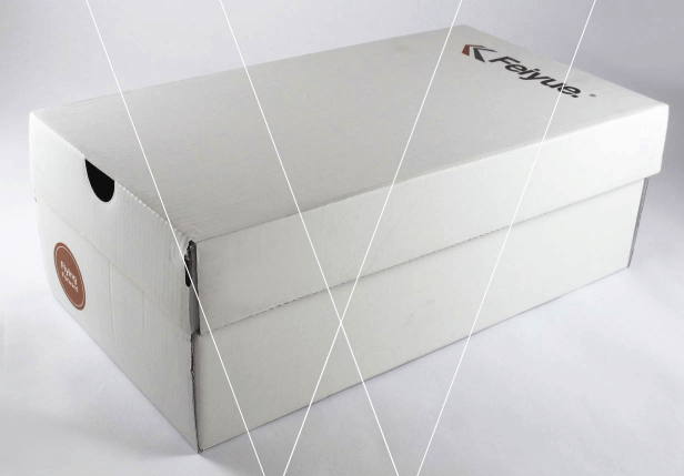 feiyue fe lo box